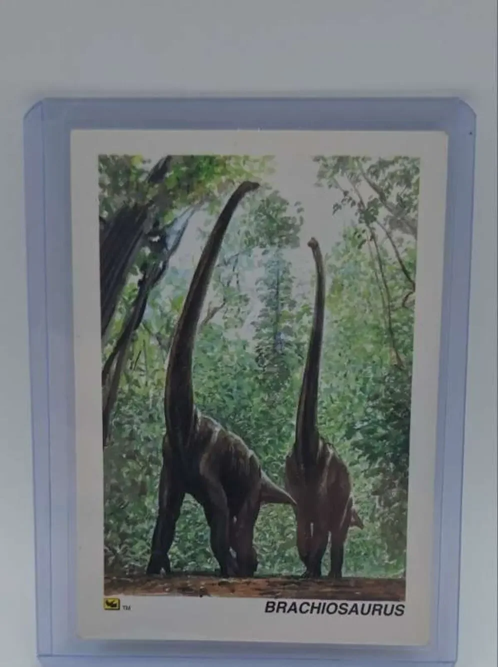 1992 DinoCardz #43 Brachiosaurus Card
